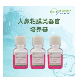 人鼻粘膜类器官培养基（Human Nasal Mucosa Organoid Medium ）