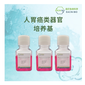 人胃癌类器官培养基（Human Gastric Cancer Organoid Medium ）