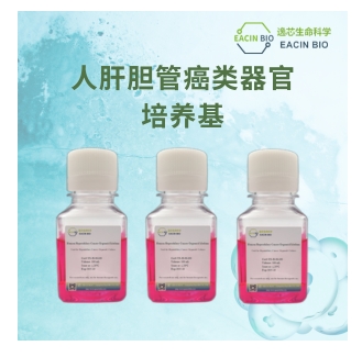 人肝胆管癌类器官培养基（Human Hepatobiliary Cancer Organoid Medium ）