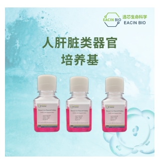 人肝脏类器官培养基（Human Liver Organoid Medium ）