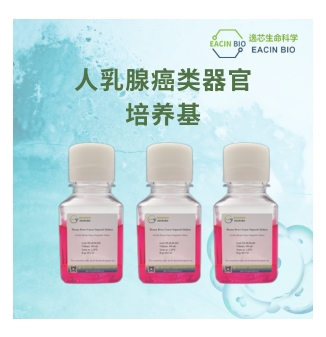 人乳腺癌类器官培养基（Human Breast Cancer Organoid Medium ）
