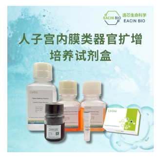 人子宫内膜类器官扩增试剂盒（Human Endometrium Organoid Amplification Kit ）