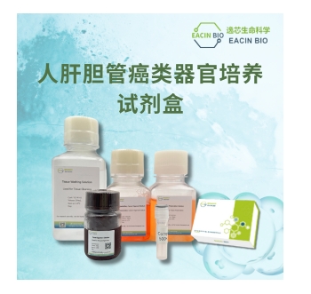 人肝癌类器官培养试剂盒（Human Hepatobiliary Cancer Organoid Culture Medium Kit ）