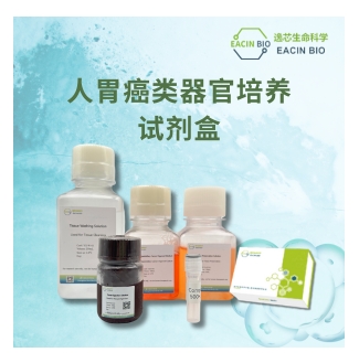 人胃癌类器官培养试剂盒（Human Gastric Cancer Organoid Culture Medium Kit ）