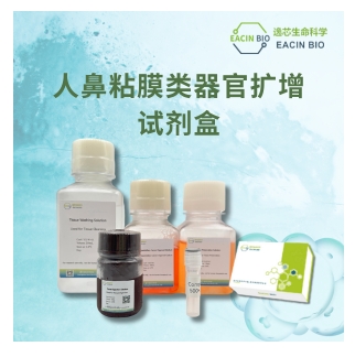 人鼻粘膜类器官培养扩增试剂盒（Human Nasal Mucosal Organoid Culture Amplification Kit ）