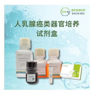 人乳腺癌类器官培养基培养试剂盒（Human Breast Cancer Organoid Culture Medium Kit）