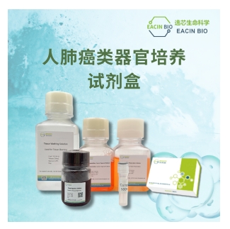 人肺癌类器官培养试剂盒（Human Lung Cancer Organoid Medium Kit）