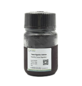 Human Endometrium Organoid terminate Digestion Solution 人子宫内膜类器官终止消化液